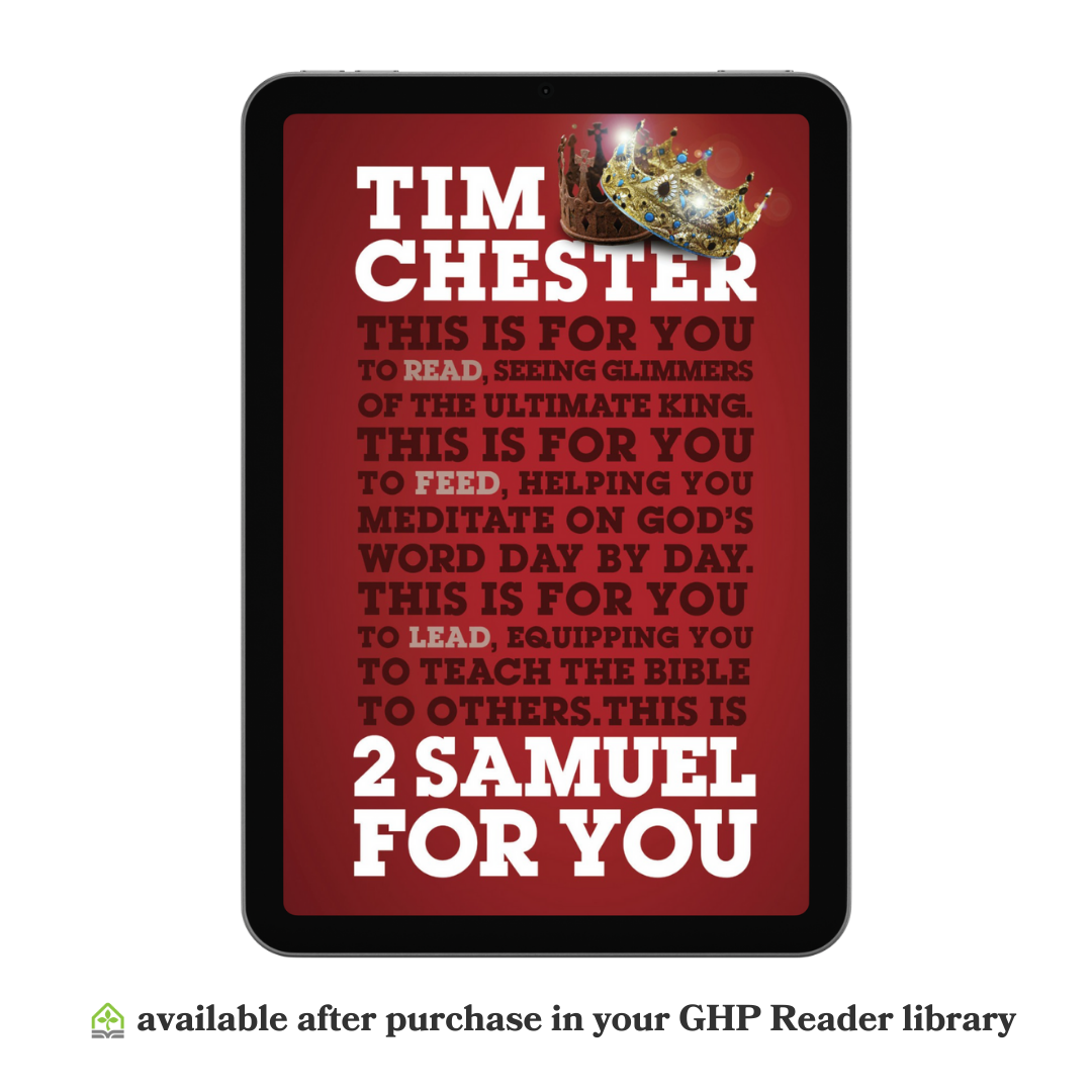 2 Samuel For You (eBook)