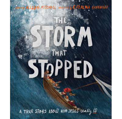 The Storm That Stopped Storybook